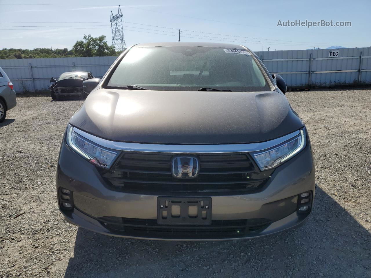 2021 Honda Odyssey Ex Gray vin: 5FNRL6H56MB035411