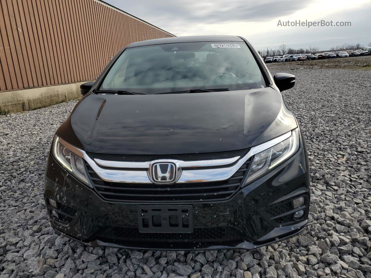 2019 Honda Odyssey Ex Black vin: 5FNRL6H57KB086610