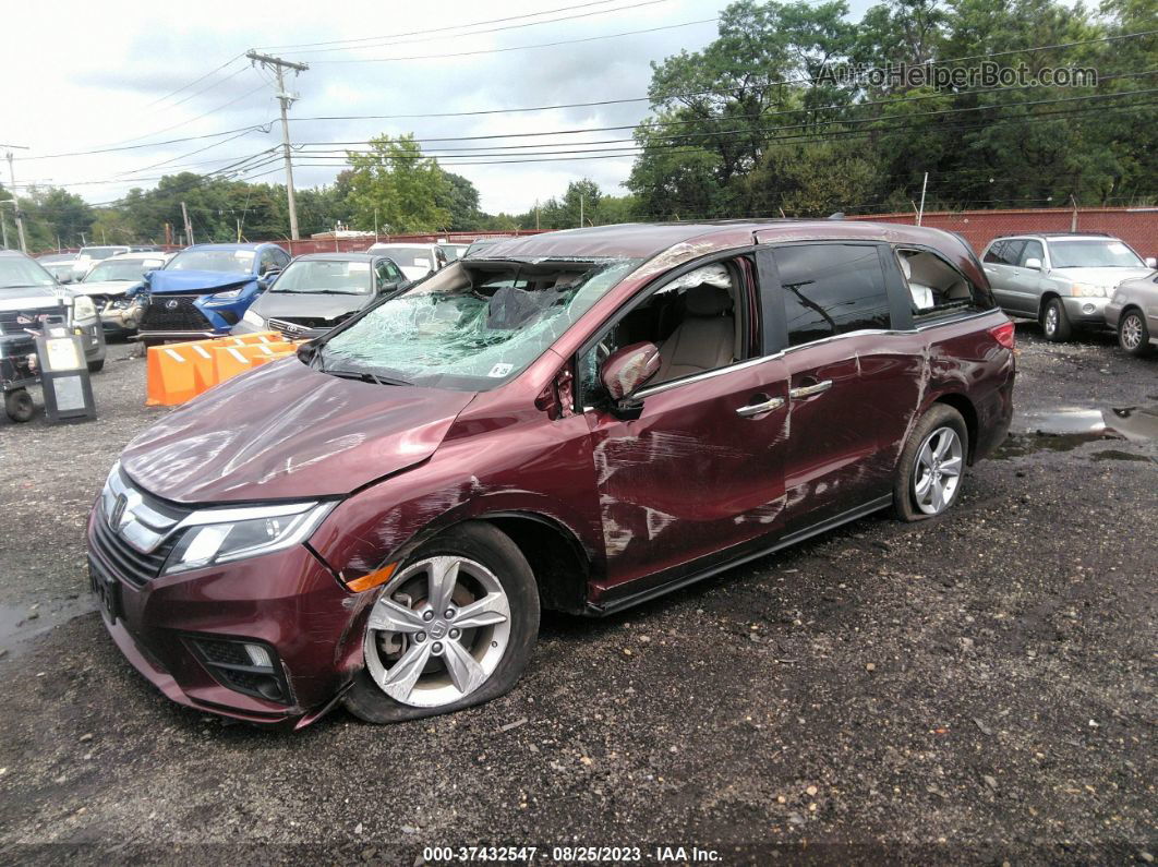 2020 Honda Odyssey Ex Brown vin: 5FNRL6H57LB072143