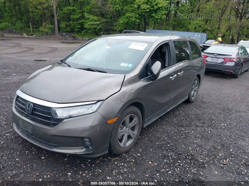 2021 Honda Odyssey Ex Gray vin: 5FNRL6H57MB034283