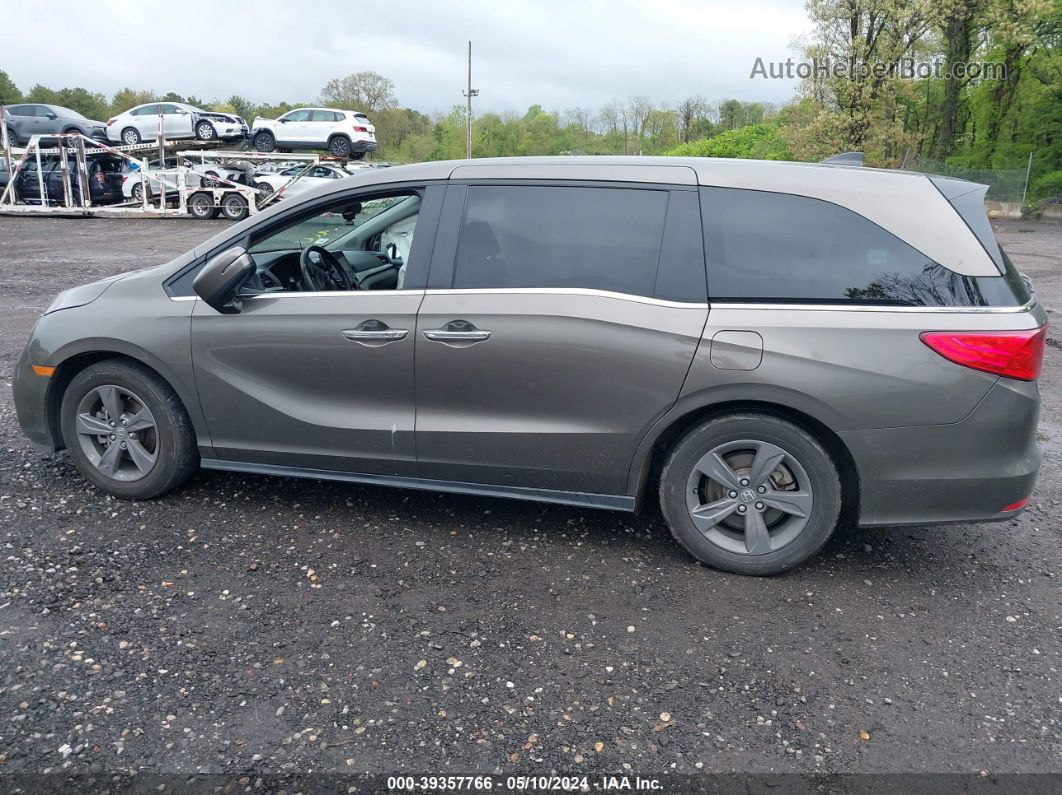 2021 Honda Odyssey Ex Gray vin: 5FNRL6H57MB034283