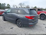 2021 Honda Odyssey Ex Gray vin: 5FNRL6H58MB009828