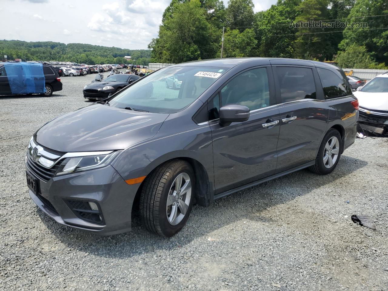 2020 Honda Odyssey Ex Gray vin: 5FNRL6H59LB000618