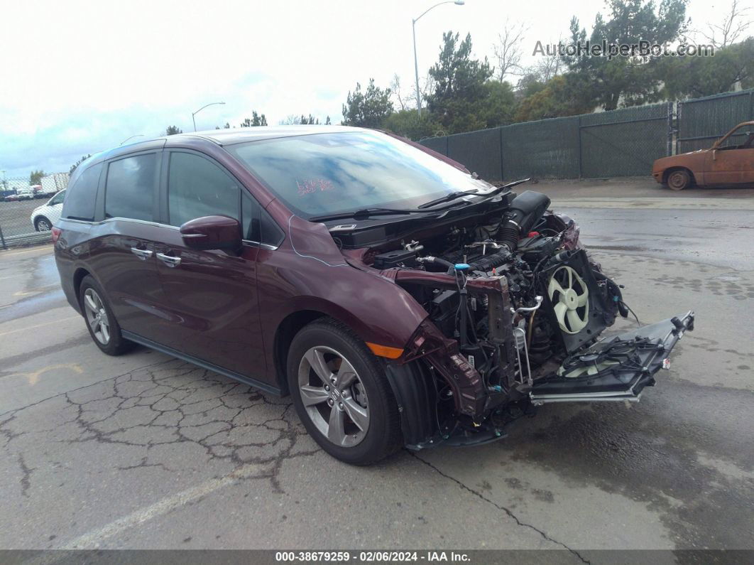 2020 Honda Odyssey Ex Burgundy vin: 5FNRL6H59LB022618