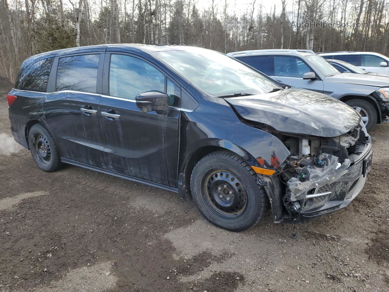 2019 Honda Odyssey Exl Black vin: 5FNRL6H6XKB502240