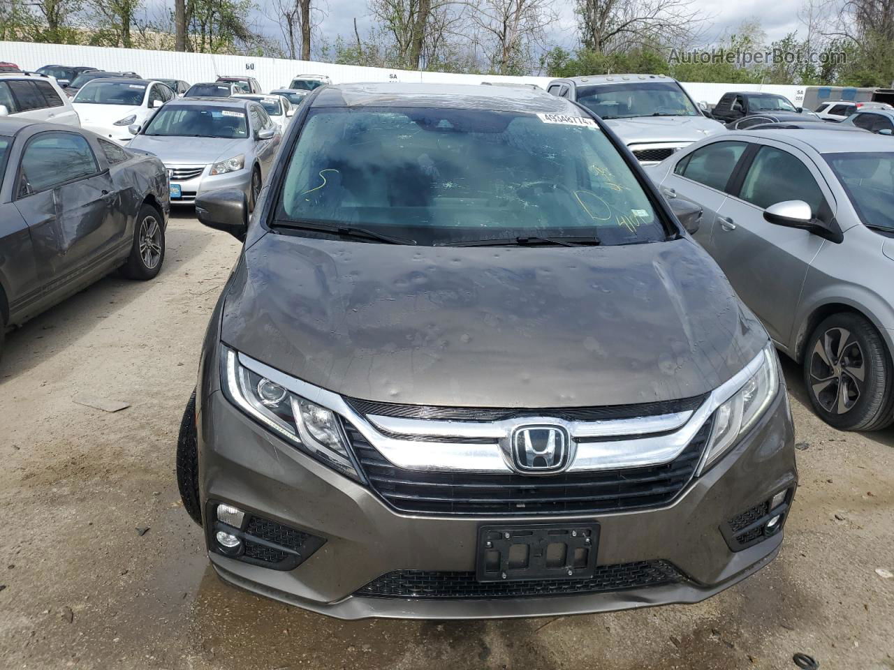 2019 Honda Odyssey Exl Beige vin: 5FNRL6H70KB024323