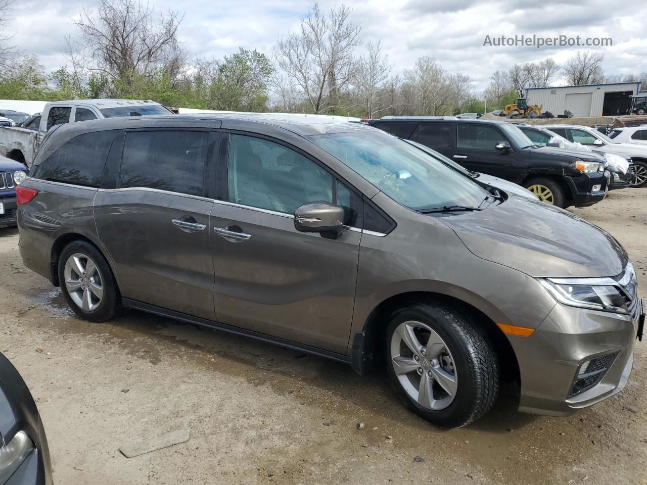 2019 Honda Odyssey Exl Бежевый vin: 5FNRL6H70KB024323