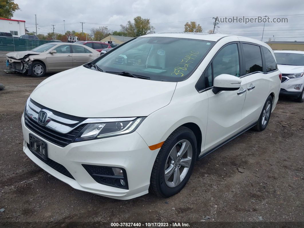 2019 Honda Odyssey Ex-l White vin: 5FNRL6H70KB042157