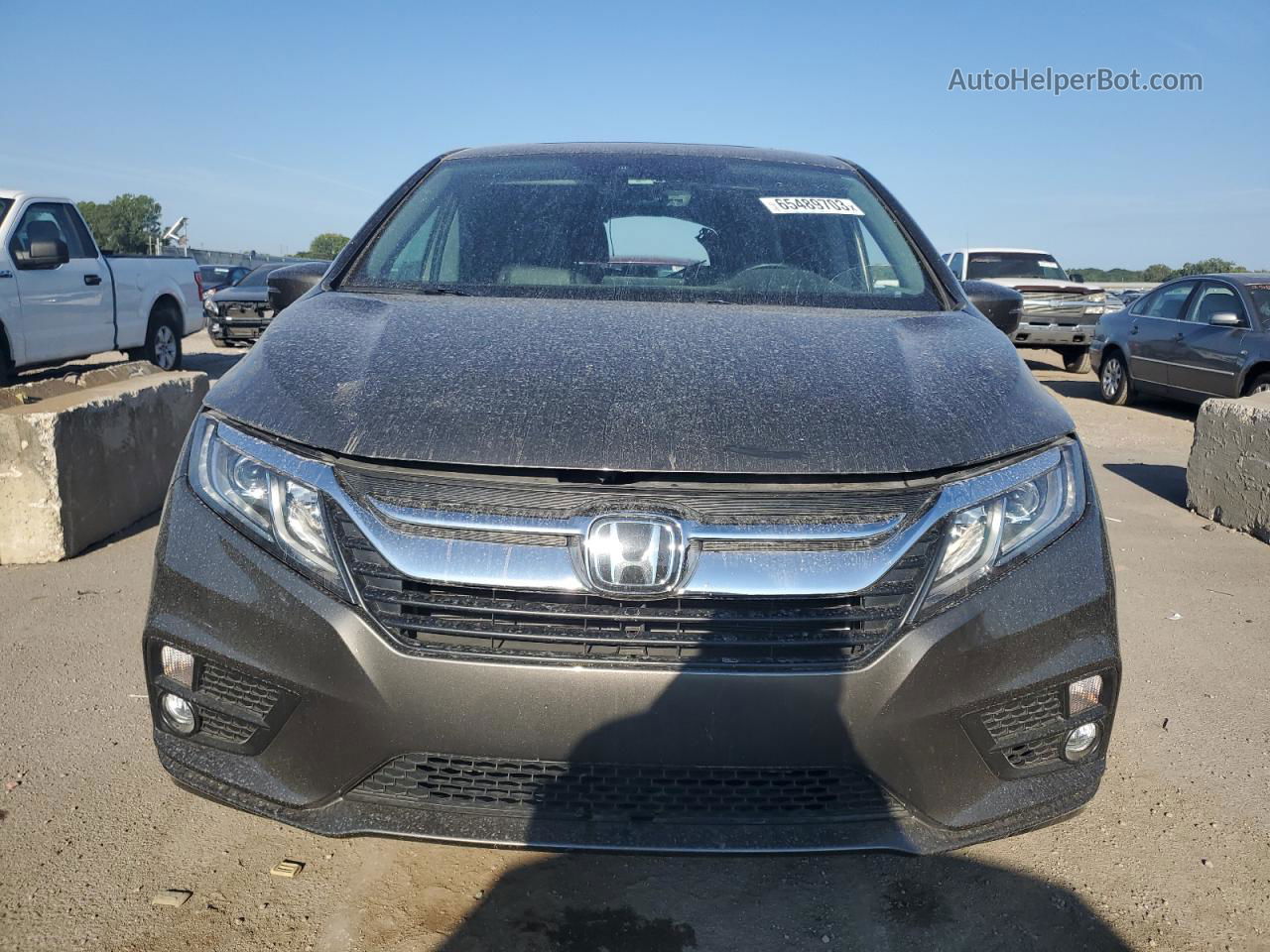 2019 Honda Odyssey Exl Brown vin: 5FNRL6H70KB081976