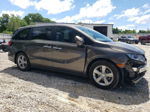 2019 Honda Odyssey Exl Charcoal vin: 5FNRL6H70KB081976