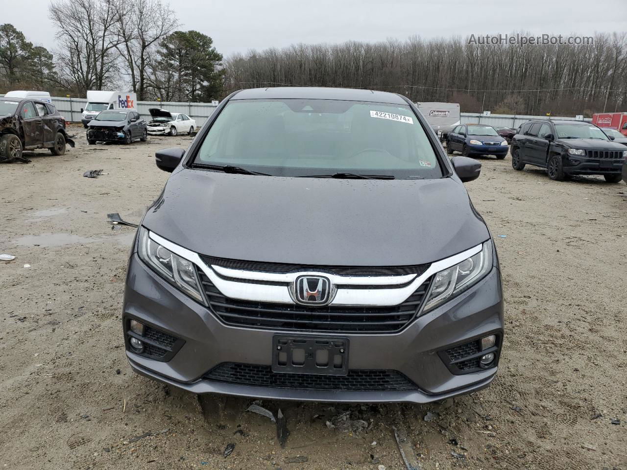 2019 Honda Odyssey Exl Gray vin: 5FNRL6H70KB089317