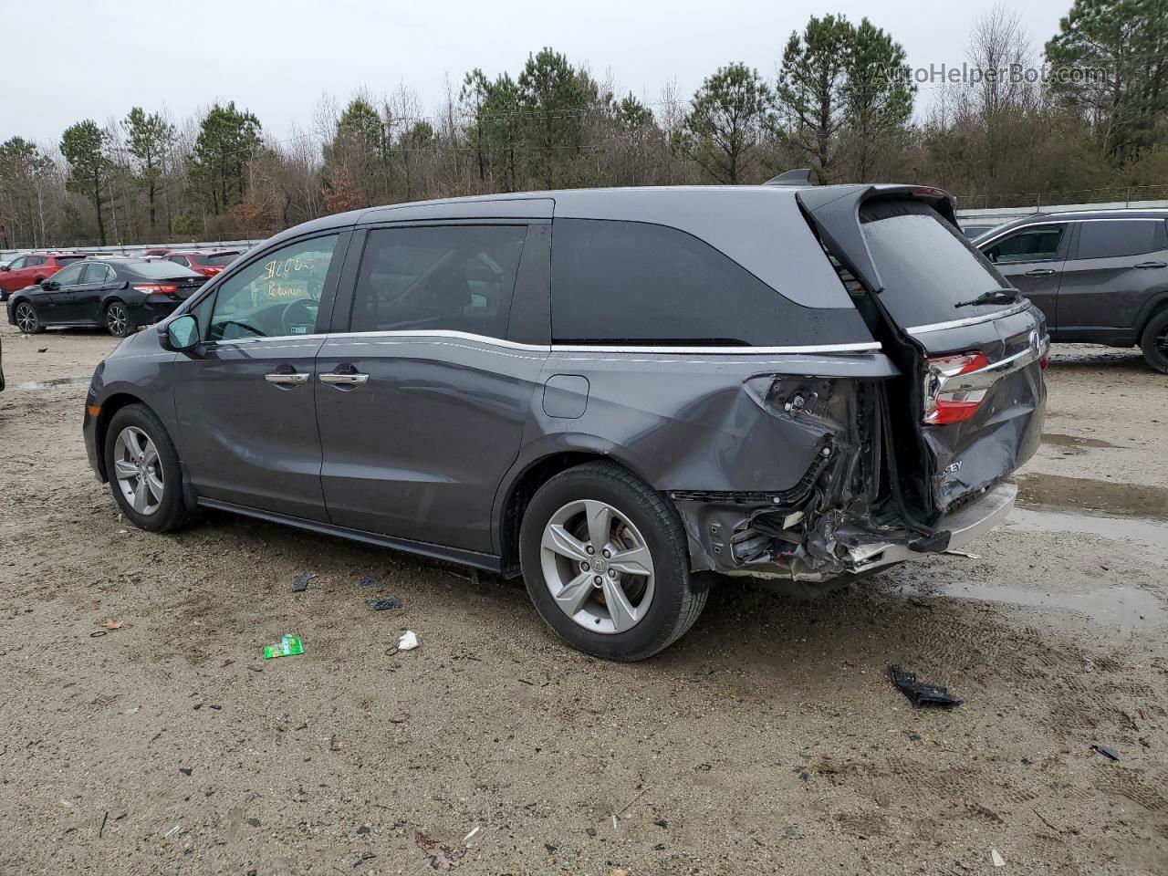 2019 Honda Odyssey Exl Gray vin: 5FNRL6H70KB089317