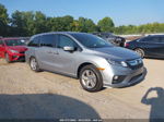 2020 Honda Odyssey Ex-l Gray vin: 5FNRL6H70LB043682