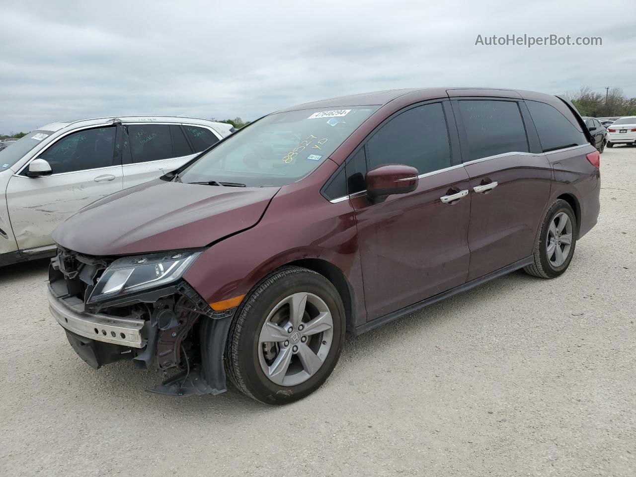 2019 Honda Odyssey Exl Burgundy vin: 5FNRL6H71KB015937