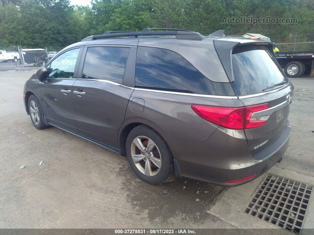 2019 Honda Odyssey Ex-l Gray vin: 5FNRL6H71KB017946