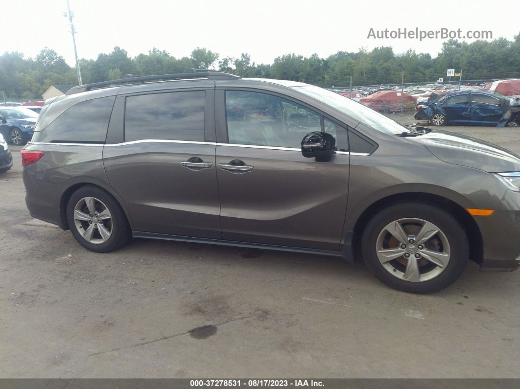 2019 Honda Odyssey Ex-l Gray vin: 5FNRL6H71KB017946