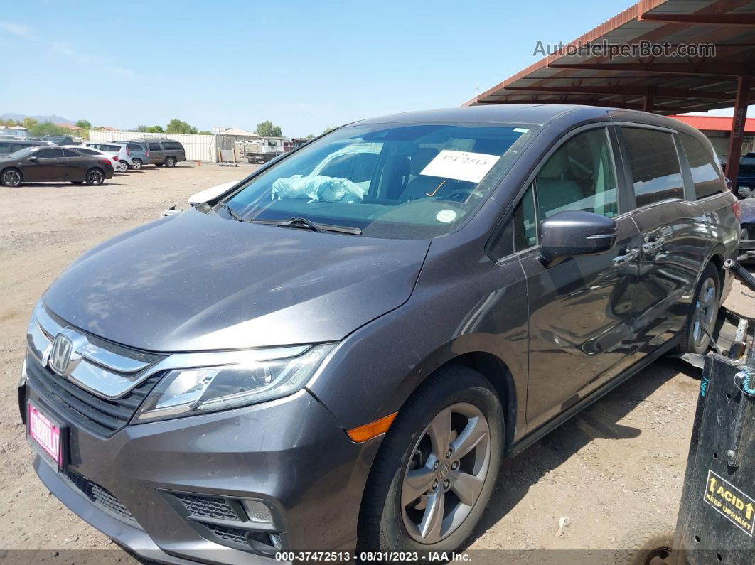 2019 Honda Odyssey Ex-l Gray vin: 5FNRL6H71KB095840