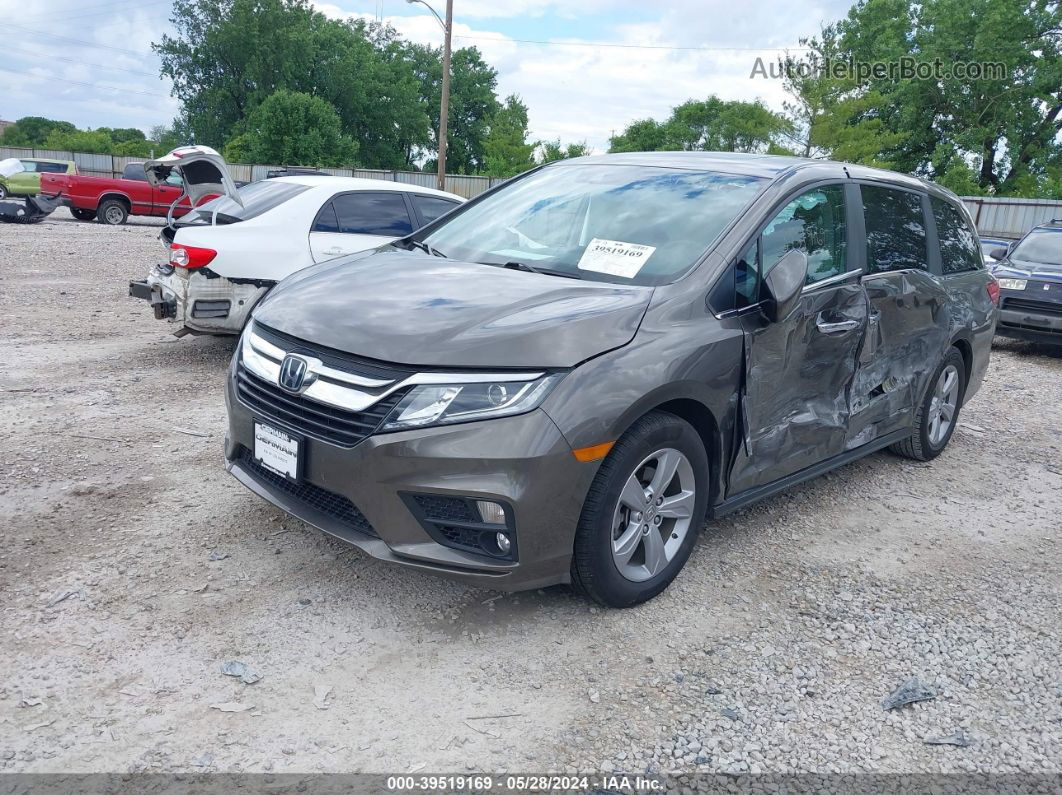 2019 Honda Odyssey Ex-l Коричневый vin: 5FNRL6H71KB123474