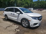 2020 Honda Odyssey Exl White vin: 5FNRL6H71LB015776