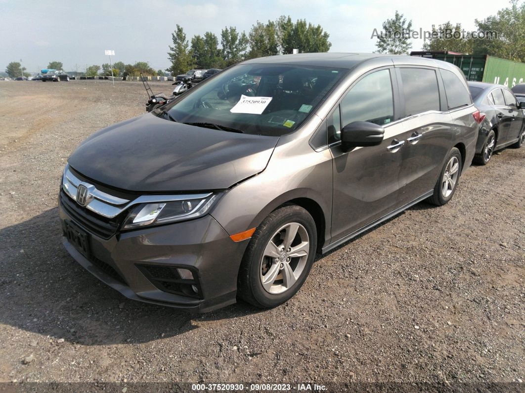 2020 Honda Odyssey Ex-l/ex-l W/navi   Res Gray vin: 5FNRL6H71LB058899