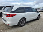 2021 Honda Odyssey Exl White vin: 5FNRL6H71MB008022