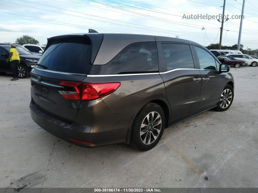 2021 Honda Odyssey Ex-l Серый vin: 5FNRL6H71MB012748