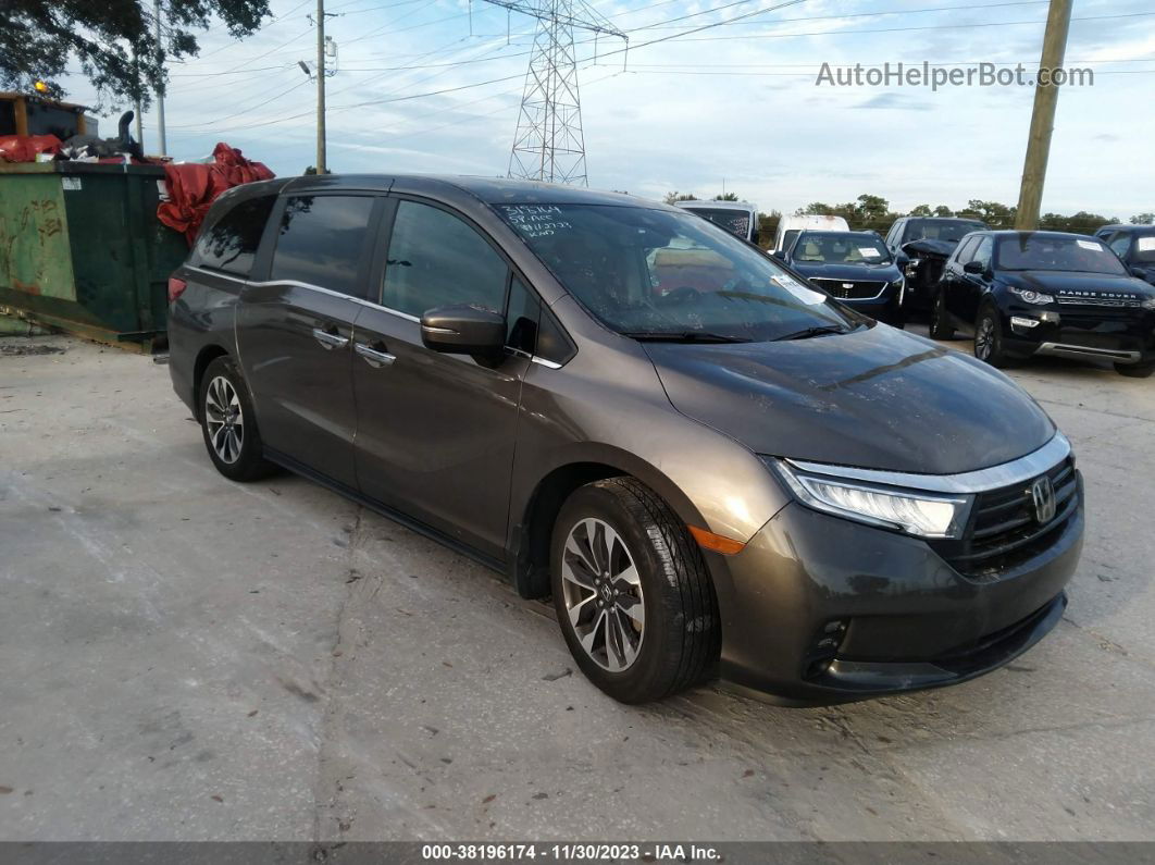 2021 Honda Odyssey Ex-l Gray vin: 5FNRL6H71MB012748