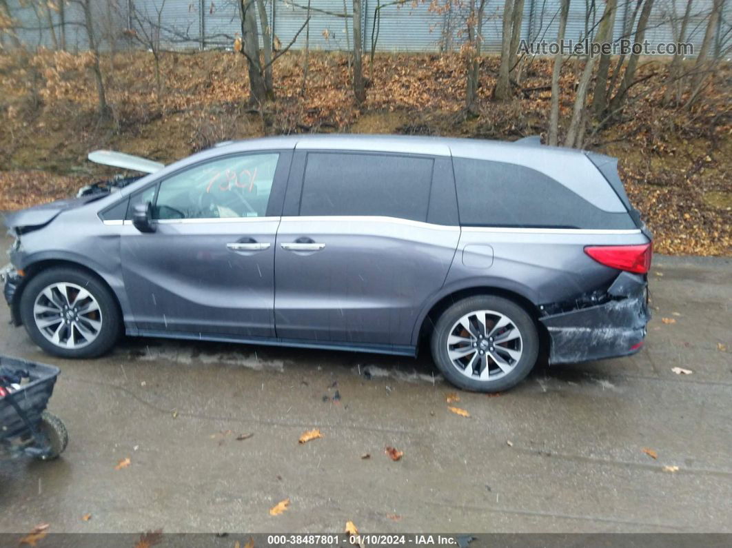 2021 Honda Odyssey Ex-l Бежевый vin: 5FNRL6H71MB028464