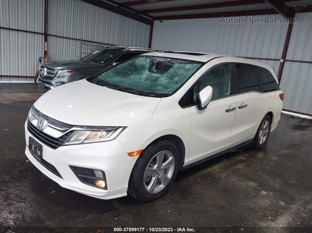 2019 Honda Odyssey Ex-l White vin: 5FNRL6H72KB020905