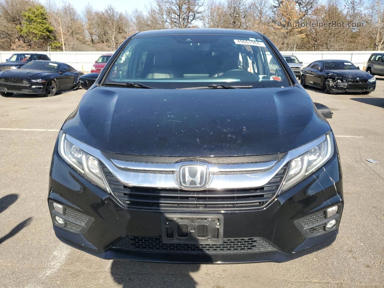 2019 Honda Odyssey Exl Black vin: 5FNRL6H72KB030009