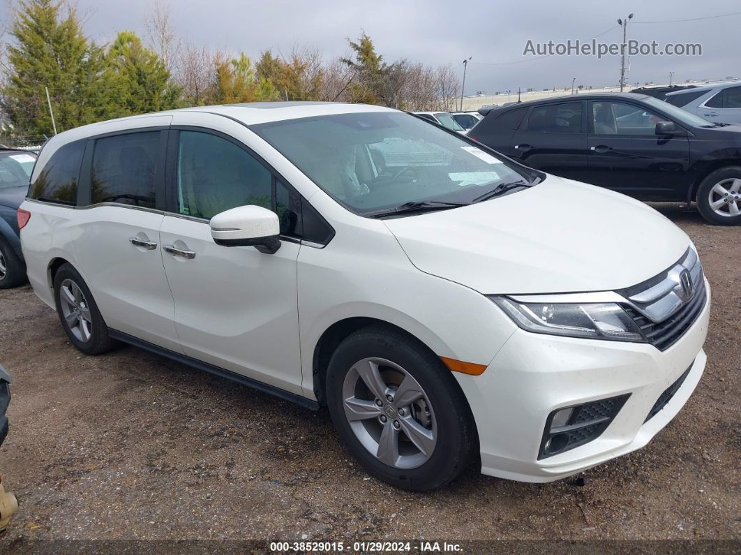 2019 Honda Odyssey Ex-l White vin: 5FNRL6H72KB038126