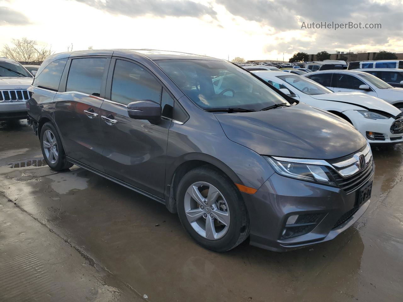 2019 Honda Odyssey Exl Gray vin: 5FNRL6H72KB041740