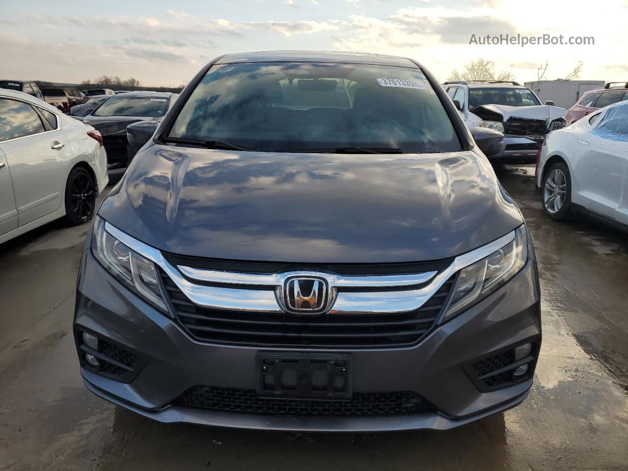 2019 Honda Odyssey Exl Gray vin: 5FNRL6H72KB041740