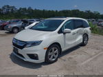 2019 Honda Odyssey Ex-l White vin: 5FNRL6H72KB063964