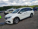 2019 Honda Odyssey Exl White vin: 5FNRL6H72KB066363