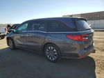 2021 Honda Odyssey Exl Charcoal vin: 5FNRL6H72MB021569