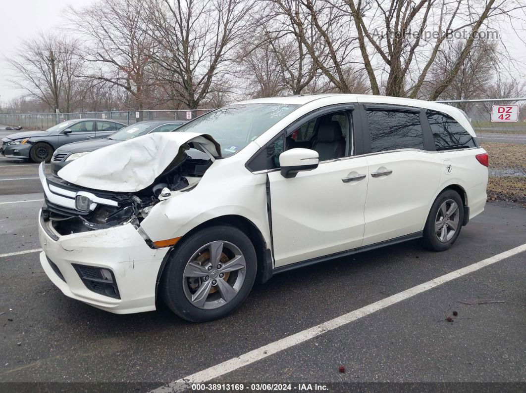 2019 Honda Odyssey Ex-l White vin: 5FNRL6H73KB052102