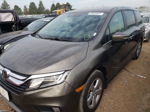 2019 Honda Odyssey Exl Gray vin: 5FNRL6H73KB053251