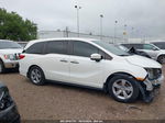 2019 Honda Odyssey Ex-l White vin: 5FNRL6H73KB081115