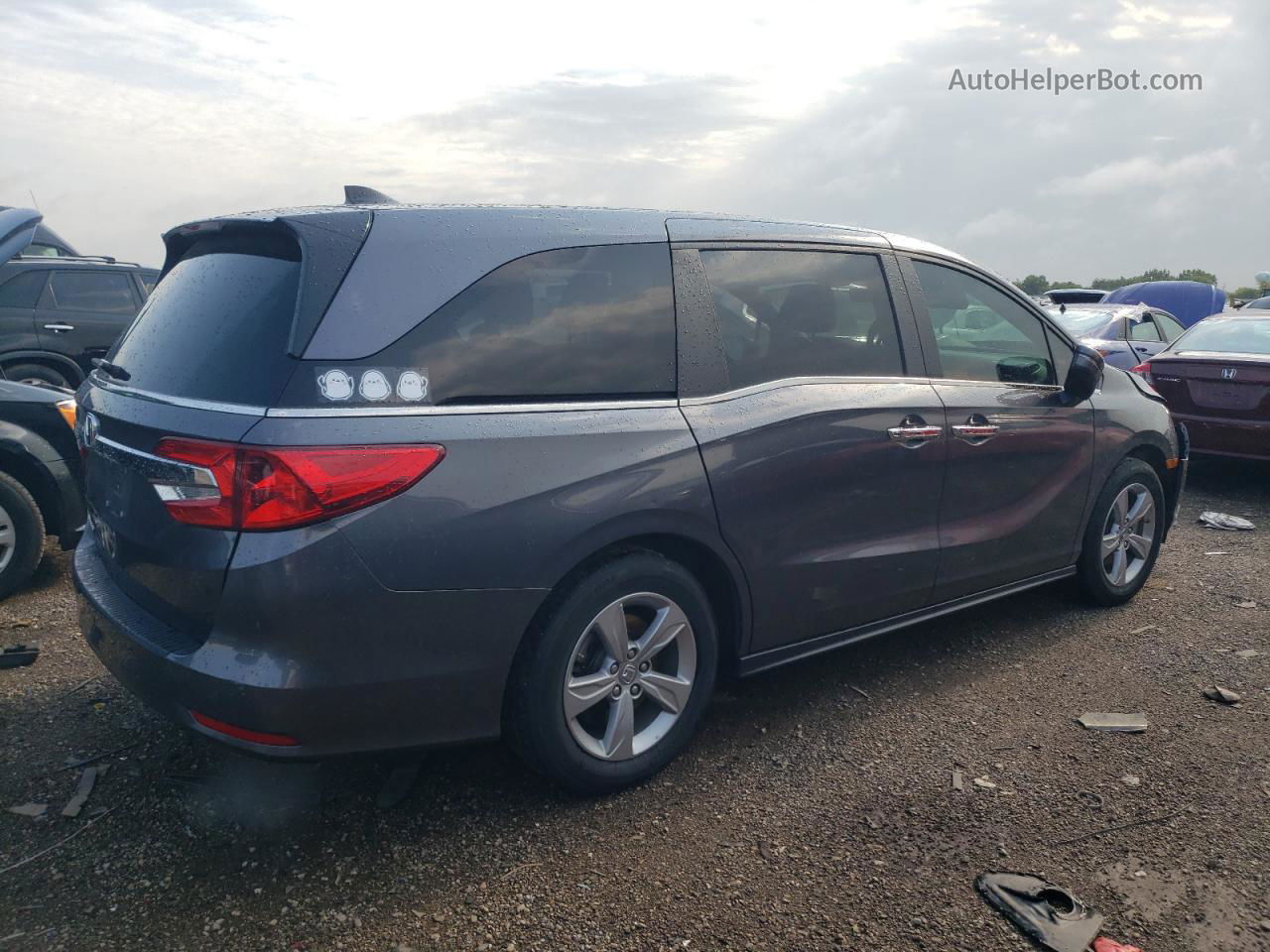 2019 Honda Odyssey Exl Gray vin: 5FNRL6H73KB092194