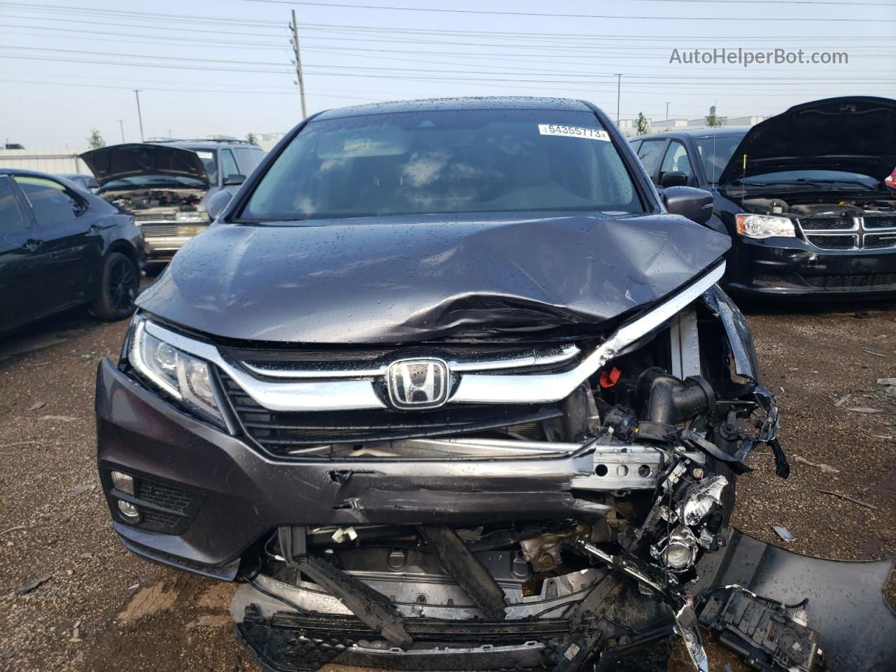 2019 Honda Odyssey Exl Gray vin: 5FNRL6H73KB092194