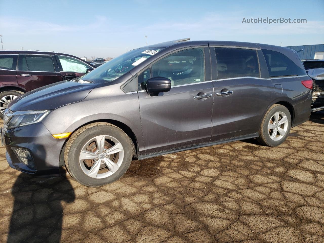 2020 Honda Odyssey Exl Gray vin: 5FNRL6H73LB003600