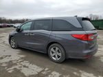 2020 Honda Odyssey Exl Gray vin: 5FNRL6H73LB039108