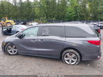 2020 Honda Odyssey Ex-l Gray vin: 5FNRL6H73LB067412