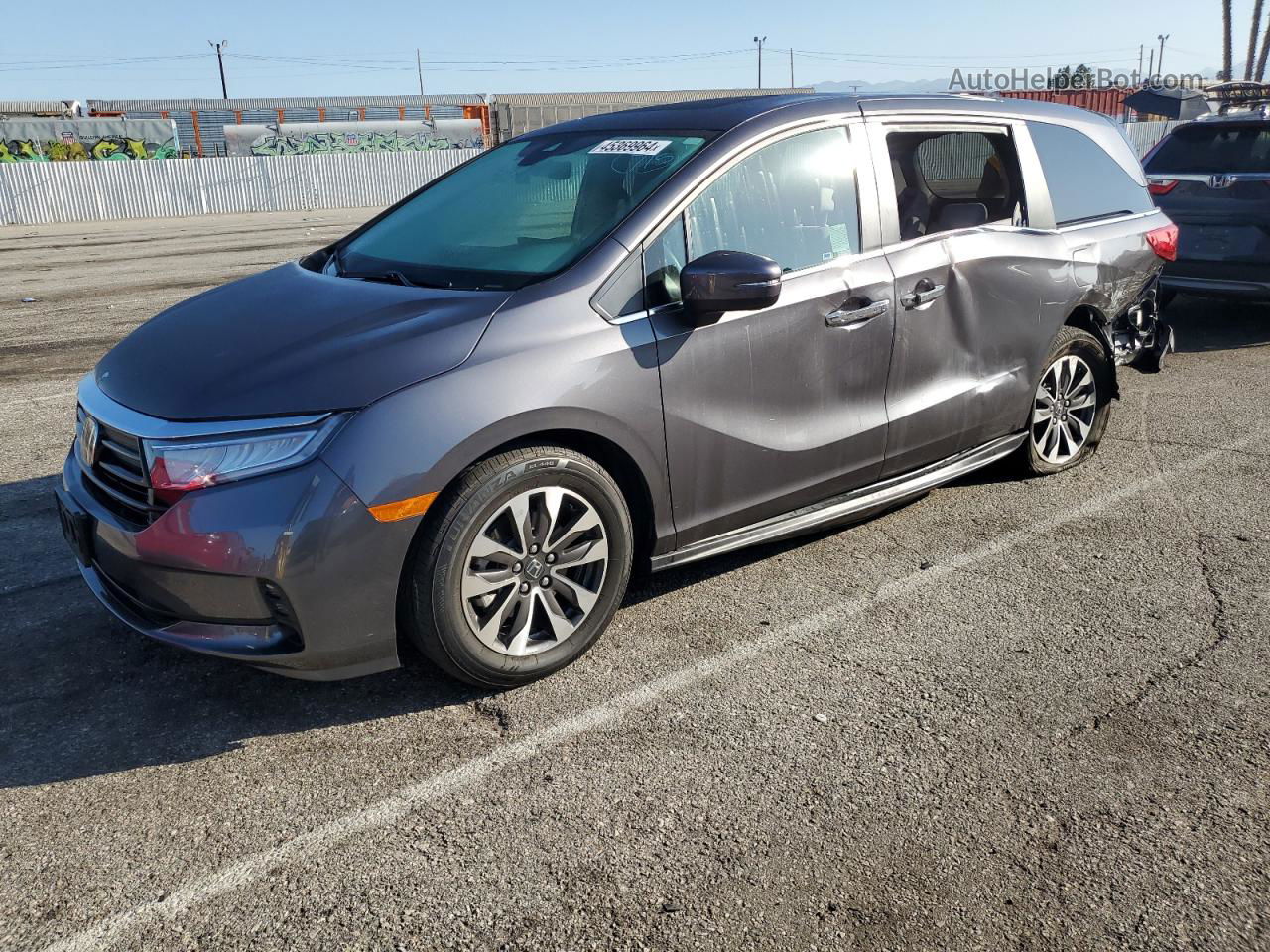 2021 Honda Odyssey Exl Gray vin: 5FNRL6H73MB000925