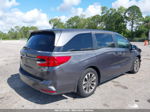 2021 Honda Odyssey Ex-l Gray vin: 5FNRL6H73MB008586