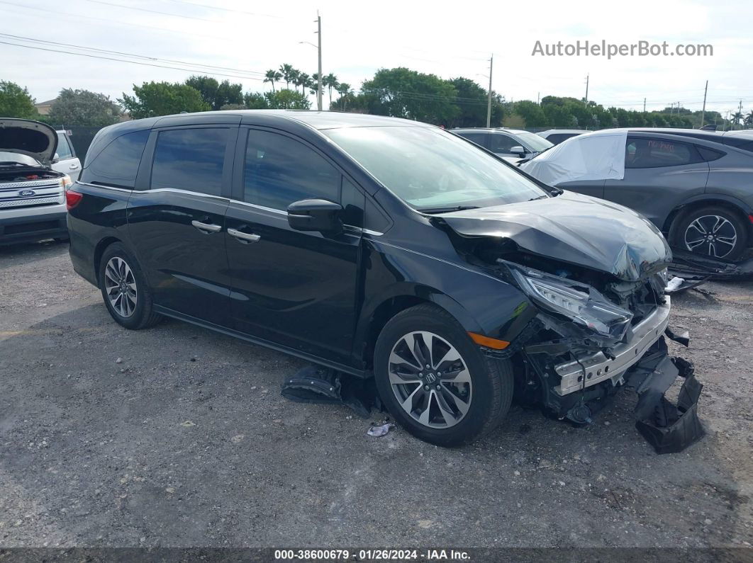 2021 Honda Odyssey Ex-l Black vin: 5FNRL6H73MB011231