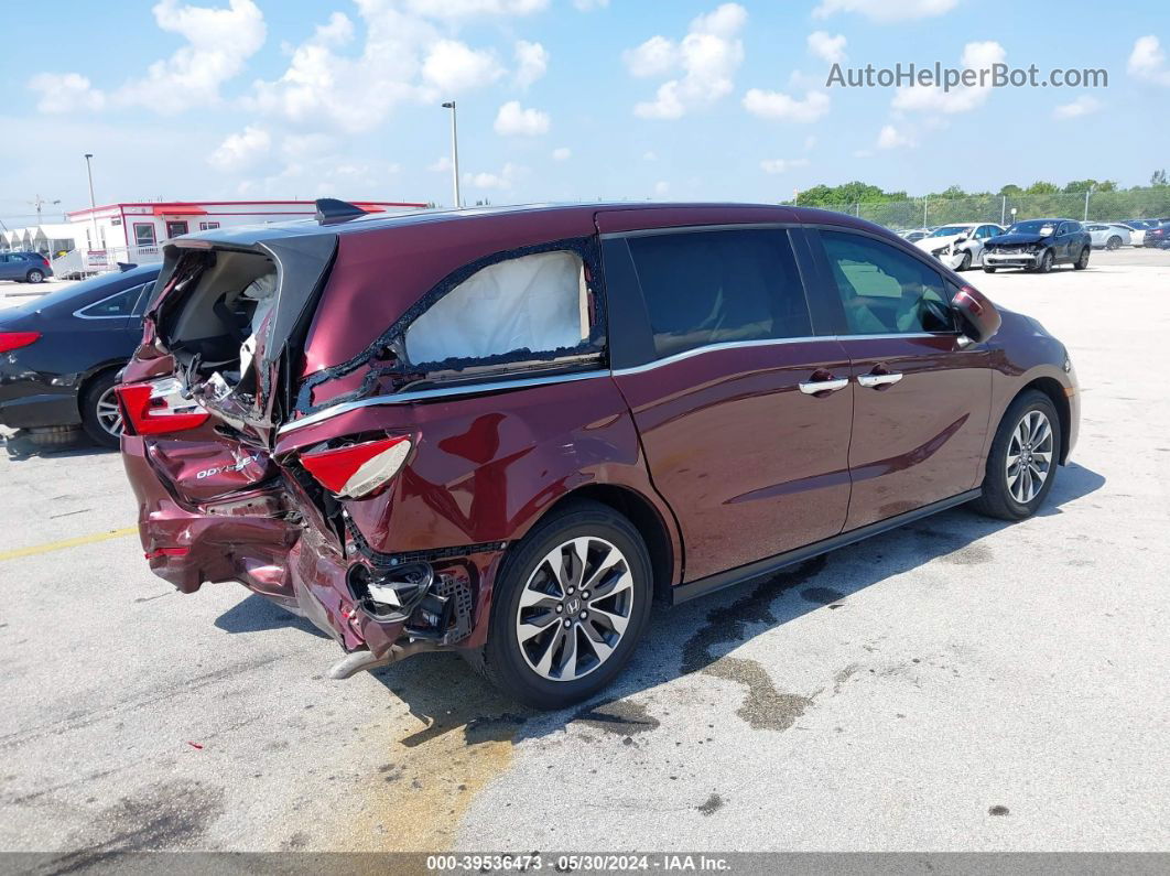 2021 Honda Odyssey Ex-l Red vin: 5FNRL6H73MB012640