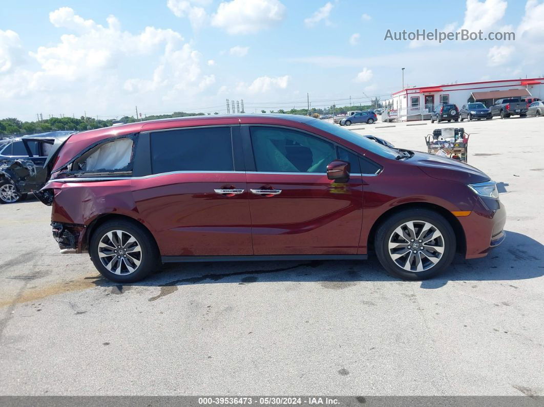 2021 Honda Odyssey Ex-l Red vin: 5FNRL6H73MB012640