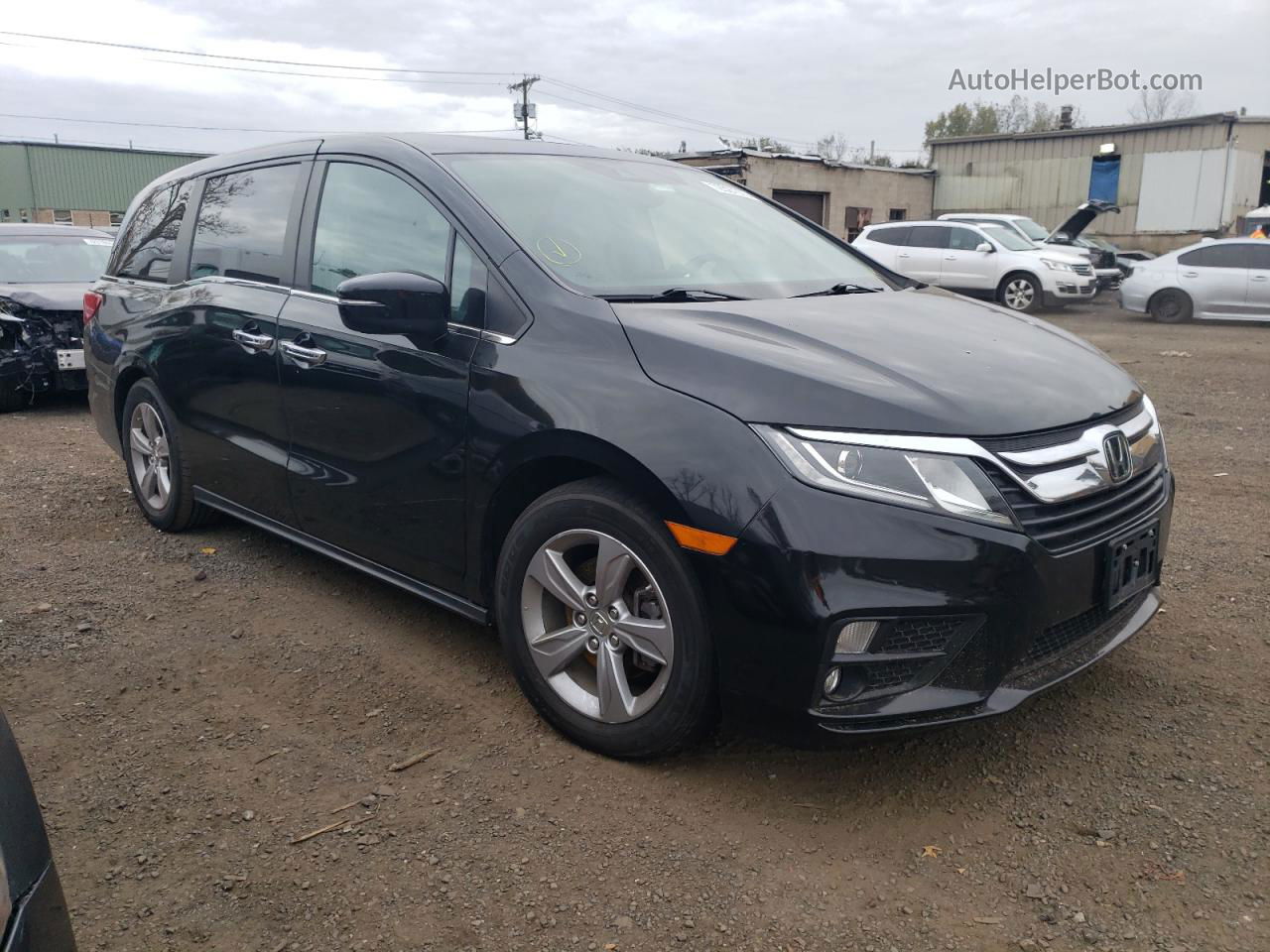 2019 Honda Odyssey Exl Black vin: 5FNRL6H74KB014507